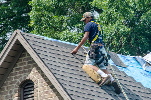 Professional Roofing Contractor in Grandwood Park, IL